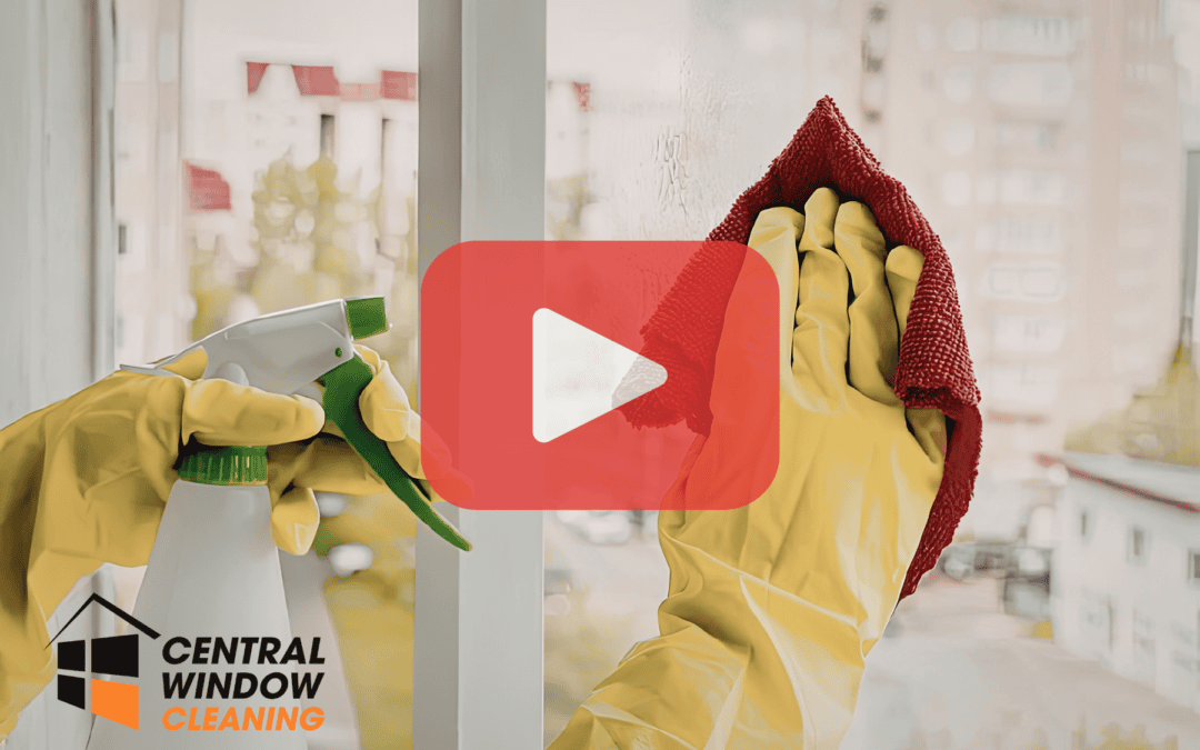How Often Should You Really Clean Your Windows?