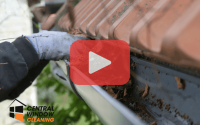 How Gutter Cleaning Saves You Money in the Long Run