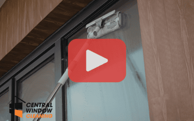 What to Expect From Professional Residential Window Cleaning